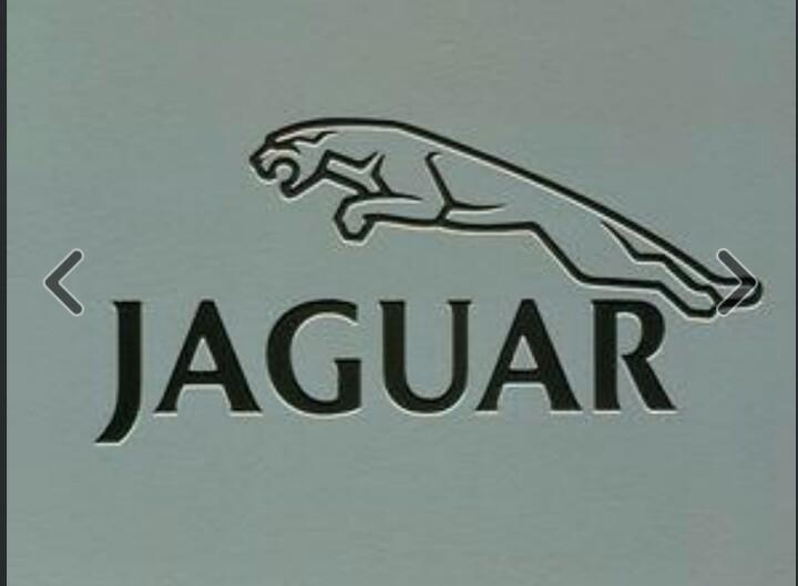 后背箱放备胎处有齿轮油