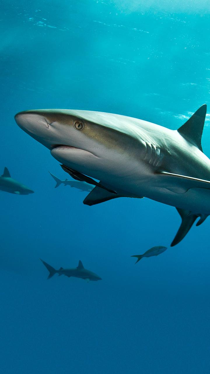 起亚k5lux的esp开关在哪里