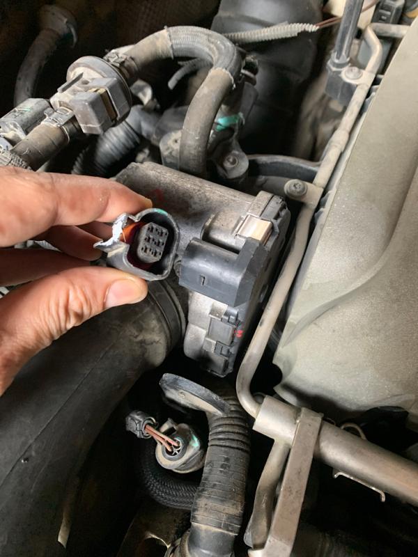 07年奥迪a6踩油门没反应_奥迪_奥迪a6l_汽车大师